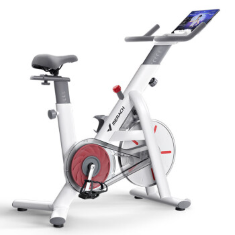 麦瑞克动感单车MR-S02W1白色